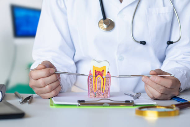 Best Emergency Treatment for Dental Infections or Abscesses in Ben Wheeler, TX